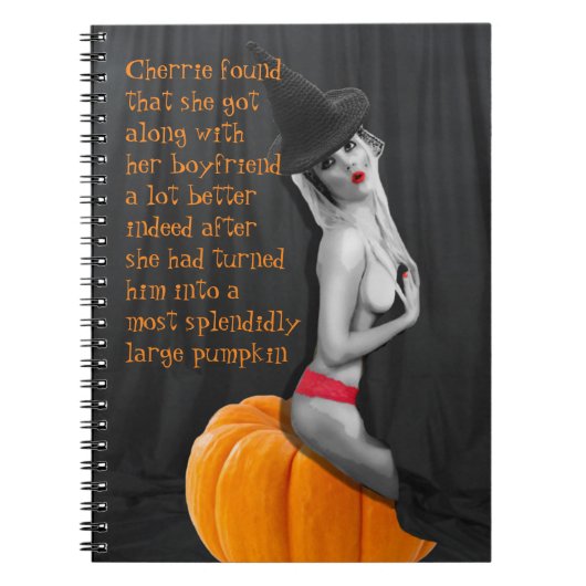 Grappig  Humor Pinup Witch Notitieboek Journal (Voorkant)