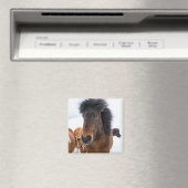 Grappig IJslands paard portret Magneet (Insitu (Vaatwasser))