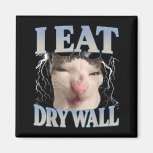 Grappig Ik Eet Droge Muur Domme Kat Meme Mannen Vr Magneet