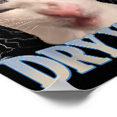 Grappig Ik Eet Droge Muur Domme Kat Meme Mannen Vr Poster (Hoek)