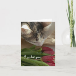 Grappig Ik Hou van Jou van de Kat Kaart