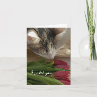 Grappig Ik Hou van Jou van de Kat Kaart