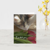 Grappig Ik Hou van Jou van de Kat Kaart (Gele Bloem)