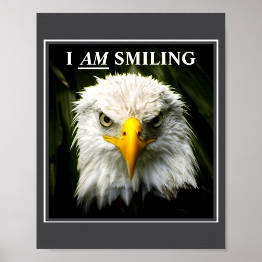 Grappig Ik Lach Mpy Adelaar Foto Poster (Voorkant)