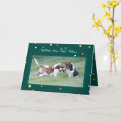 Grappig "In Dog Years" Verjaardag Kaart w / Basset (Gele Bloem)