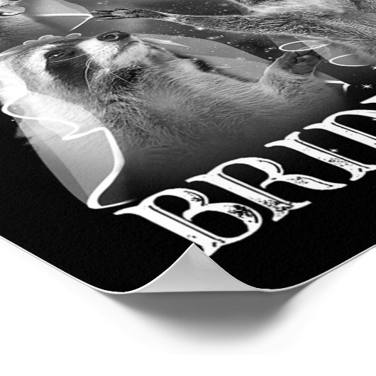 Grappig in mijn wilde bruid tijdperk 3 wasbeer maa poster (Hoek)