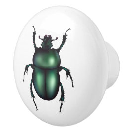 Grappig Insect Keramische Knop