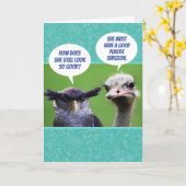 Grappig jaloezieke vogels als aanvulling op haar v kaart (Gele Bloem)