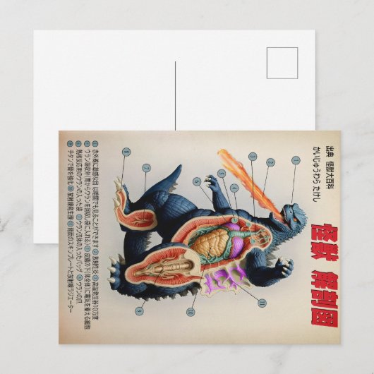 Grappig Japans Kaiju anatomie diagram Briefkaart (Voorkant / Achterkant)