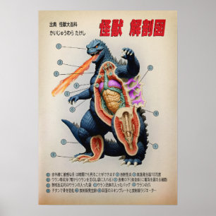 Grappig Japans Kaiju anatomie diagram Poster