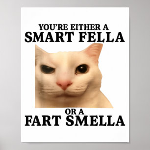 Grappig je bent óf een slimme vent óf een scheet r poster