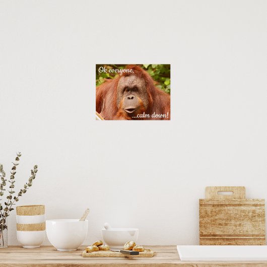 Grappig kalm orangutaan poster (Keuken)