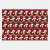 Grappig Kamala Harris Face Santa Hat Kerstmis Inpakpapier Vel (Voorkant)