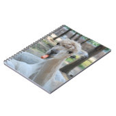 Grappig kameel met wortel notitieboek (Linkerzijde)