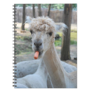 Grappig kameel met wortel notitieboek