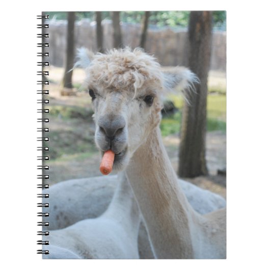 Grappig kameel met wortel notitieboek (Voorkant)