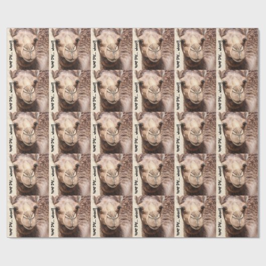 Grappig kamel Hump Day Wrapping Paper whoot! Cadeaupapier (Vlak)
