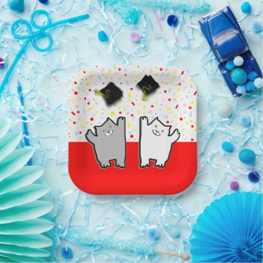 Grappig kat afstudeerfeest papieren bordje (Feest)