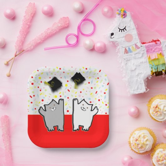 Grappig kat afstudeerfeest papieren bordje (Feest)