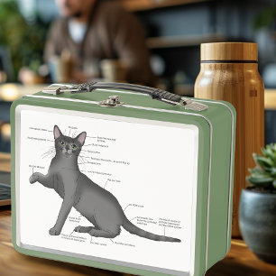 Grappig Kat Anatomie Diagram Humor Nerdy