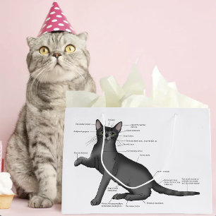 Grappig Kat Anatomie Diagram Humor Nerdy Groot Cadeauzakje