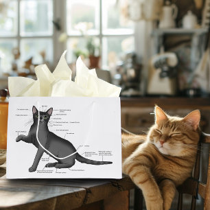 Grappig Kat Anatomie Diagram Humor Nerdy Groot Cadeauzakje