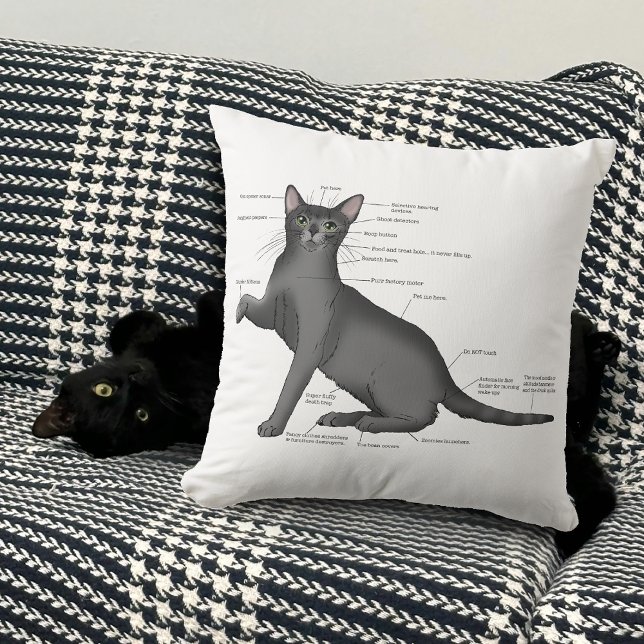 Grappig Kat Anatomie Diagram Humor Nerdy Kussen (Creator heeft geüpload)