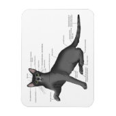 Grappig Kat Anatomie Diagram Humor Nerdy Magneet (Verticaal)