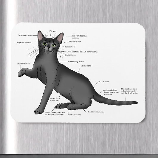 Grappig Kat Anatomie Diagram Humor Nerdy Magneet
