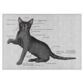 Grappig Kat Anatomie Diagram Humor Nerdy Snijplank (Voorkant)