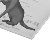 Grappig Kat Anatomie Diagram Humor Nerdy Snijplank (Hoek)