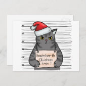 Grappig kat dat ik wist van de kerstboom feestdagenkaart (Voorkant / Achterkant)