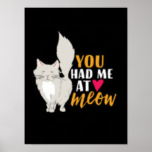 Grappig kat en katten van wie je me had.