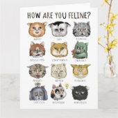 Grappig kat-feeling, hoe voel je je? kaart (Gele Bloem)