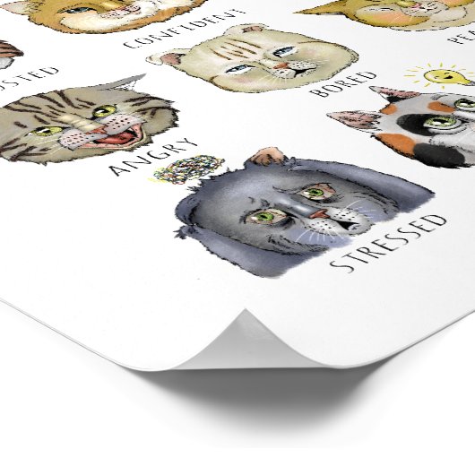Grappig kat-feeling, hoe voel je je? poster (Hoek)