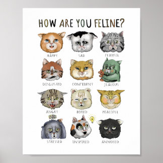Grappig kat-feeling, hoe voel je je? poster