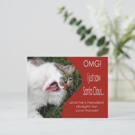 Grappig Kat Kerst Briefkaart (Staand voorkant)