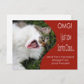 Grappig Kat Kerst Briefkaart (Voorkant / Achterkant)