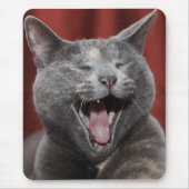 Grappig kat - Klaar om de muis te eten! Muismat (Voorkant)