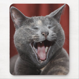 Grappig kat - Klaar om de muis te eten! Muismat