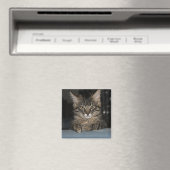 Grappig Kat "Oh Echt?" Magnet (Insitu (Vaatwasser))
