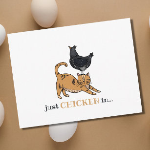 Grappig katten en kippen die alleen maar in Briefk Briefkaart