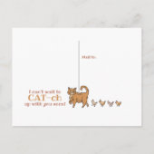 Grappig katten en kippen die alleen maar in Briefk Briefkaart (Achterkant)