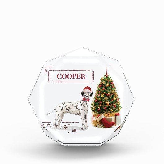Grappig kerstfeest Dalmatiaanse hond en boom Fotoblokken (Voorkant)