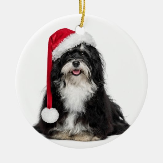 Grappig kerstfeest met Havanese hond met Santa Hat Keramisch Ornament (Voorkant)
