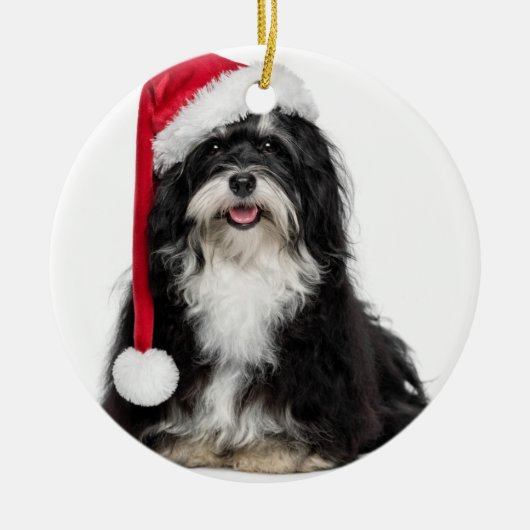 Grappig kerstfeest met Havanese hond met Santa Hat Metalen Ornament (Voorkant)