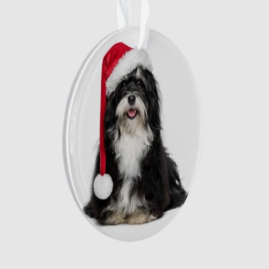 Grappig kerstfeest met Havanese hond met Santa Hat Ornament (voorkant)
