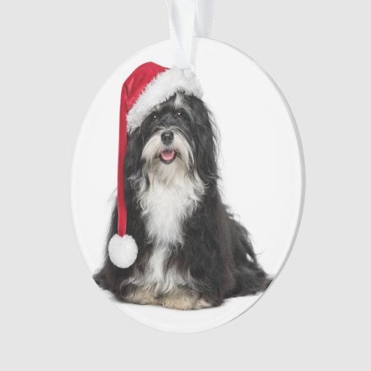 Grappig kerstfeest met Havanese hond met Santa Hat Ornament (voorkant)