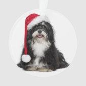 Grappig kerstfeest met Havanese hond met Santa Hat Ornament (voorkant)