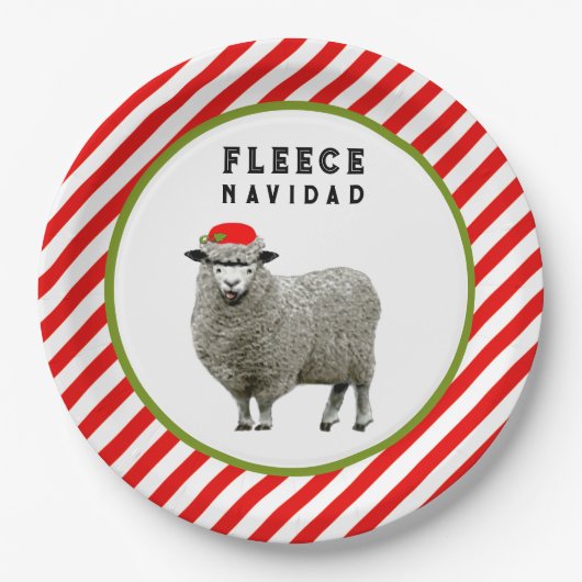 Grappig kerstfeest papieren bordje (Voorkant)